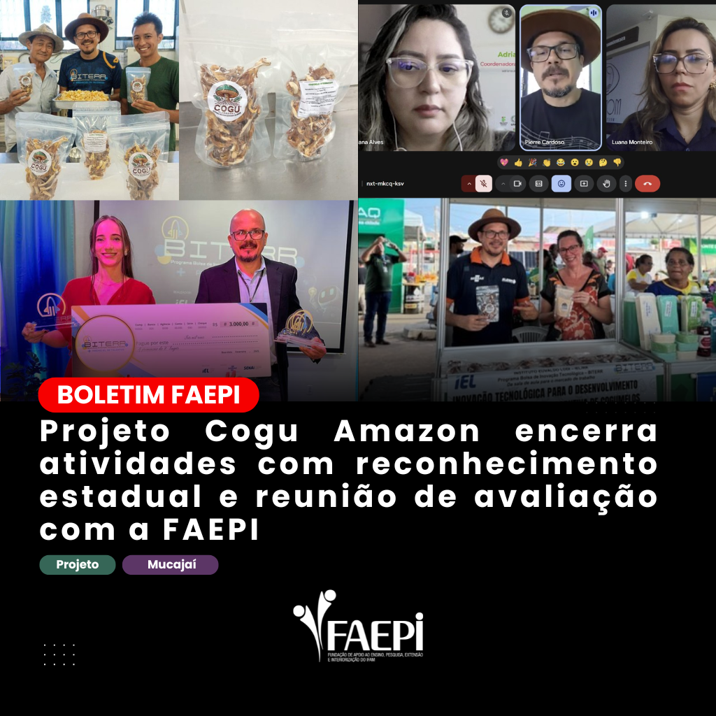 Projeto Cogu Amazon encerra atividades com reconhecimento estadual e reunião de avaliação com a FAEPI